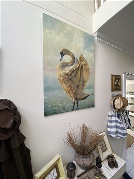 Swan In Room (450 x 600)